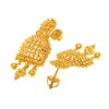 22carat Gold Rani Haar/Necklace Set